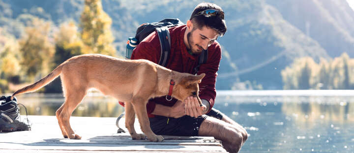 Banner Bekleidung 1700x740